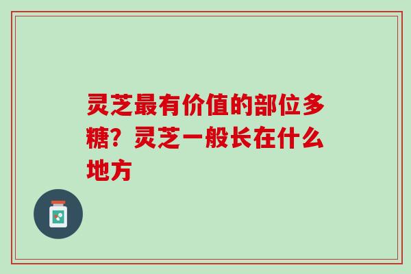 灵芝有价值的部位多糖?灵芝一般长在什么地方 灵芝有价值的部位多糖?灵芝一般长在什么地方