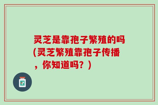 灵芝是靠孢子繁殖的吗(灵芝繁殖靠孢子传播，你知道吗？)