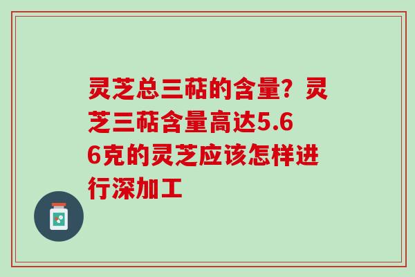 灵芝总三萜的含量？灵芝三萜含量高达5.66克的灵芝应该怎样进行深加工
