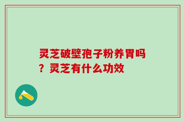 灵芝破壁孢子粉养胃吗？灵芝有什么功效
