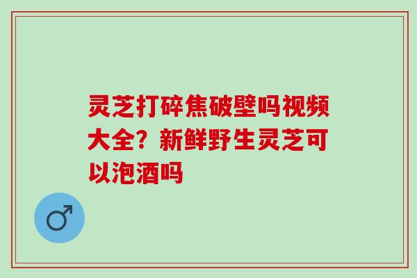 灵芝打碎焦破壁吗视频大全？新鲜野生灵芝可以泡酒吗