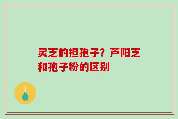 灵芝的担孢子？芦阳芝和孢子粉的区别