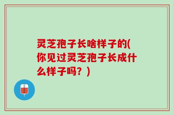 灵芝孢子长啥样子的(你见过灵芝孢子长成什么样子吗？)