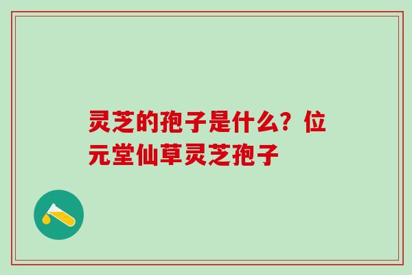 灵芝的孢子是什么？位元堂仙草灵芝孢子