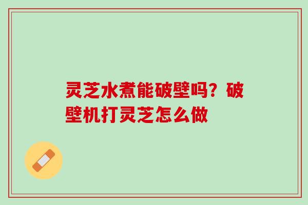 灵芝水煮能破壁吗？破壁机打灵芝怎么做