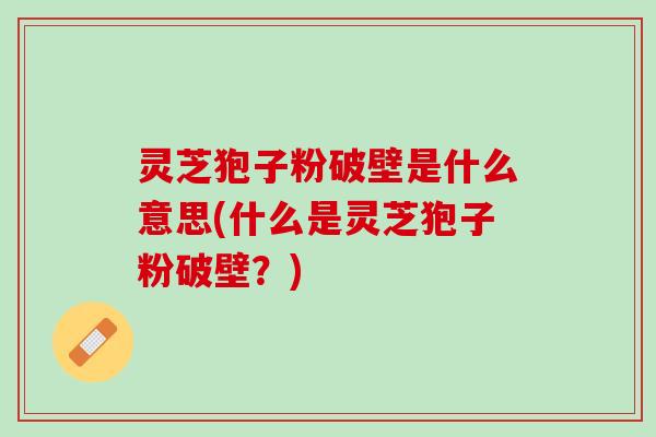 灵芝狍子粉破壁是什么意思(什么是灵芝狍子粉破壁？)