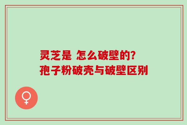 灵芝是 怎么破壁的？孢子粉破壳与破壁区别