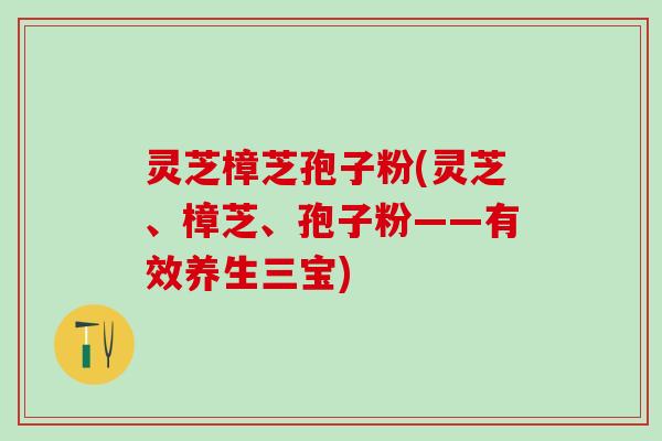 灵芝樟芝孢子粉(灵芝、樟芝、孢子粉——有效养生三宝) 灵芝樟芝孢子粉(灵芝、樟芝、孢子粉——有效养生三宝)