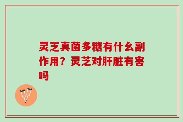 灵芝真菌多糖有什幺副作用？灵芝对肝脏有害吗