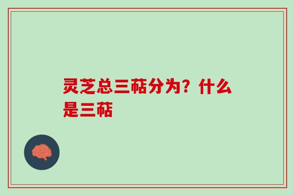 灵芝总三萜分为？什么是三萜