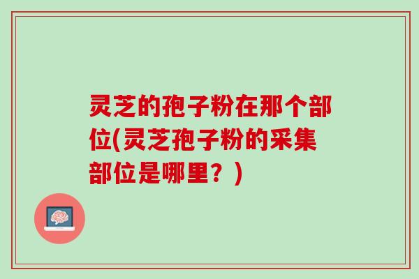灵芝的孢子粉在那个部位(灵芝孢子粉的采集部位是哪里？)