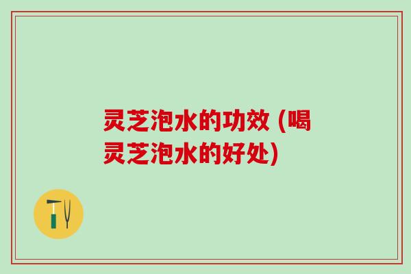 灵芝泡水的功效 (喝灵芝泡水的好处)