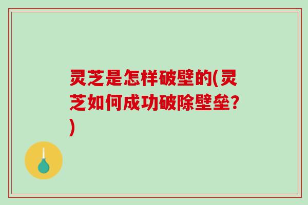 灵芝是怎样破壁的(灵芝如何成功破除壁垒？)