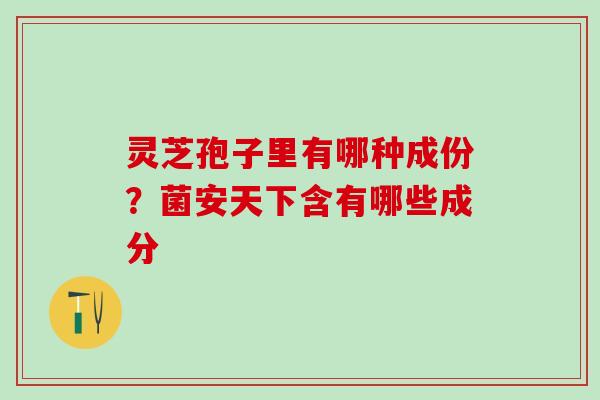 灵芝孢子里有哪种成份？菌安天下含有哪些成分