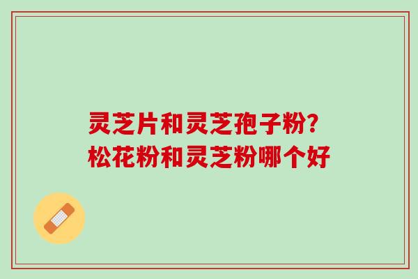 灵芝片和灵芝孢子粉？松花粉和灵芝粉哪个好