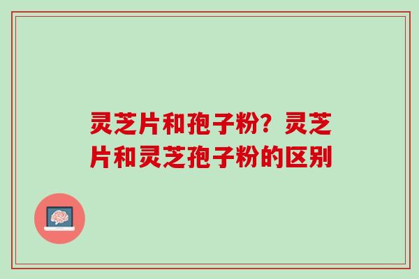 灵芝片和孢子粉？灵芝片和灵芝孢子粉的区别