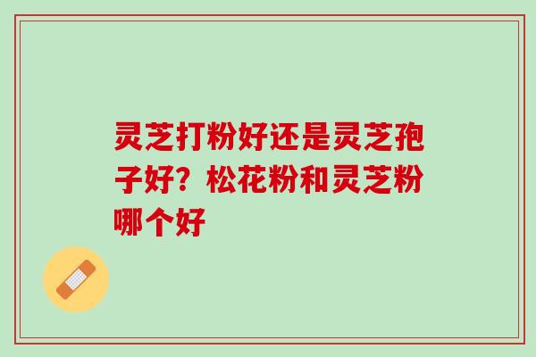 灵芝打粉好还是灵芝孢子好?松花粉和灵芝粉哪个好 灵芝打粉好还是灵芝孢子好?松花粉和灵芝粉哪个好