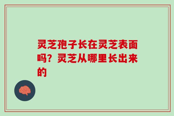 灵芝孢子长在灵芝表面吗？灵芝从哪里长出来的