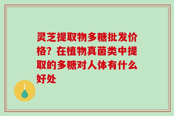 灵芝提取物多糖批发价格？在植物真菌类中提取的多糖对人体有什么好处