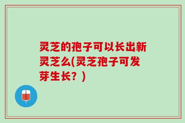 灵芝的孢子可以长出新灵芝么(灵芝孢子可发芽生长？)