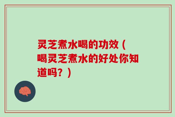 灵芝煮水喝的功效 (喝灵芝煮水的好处你知道吗？)