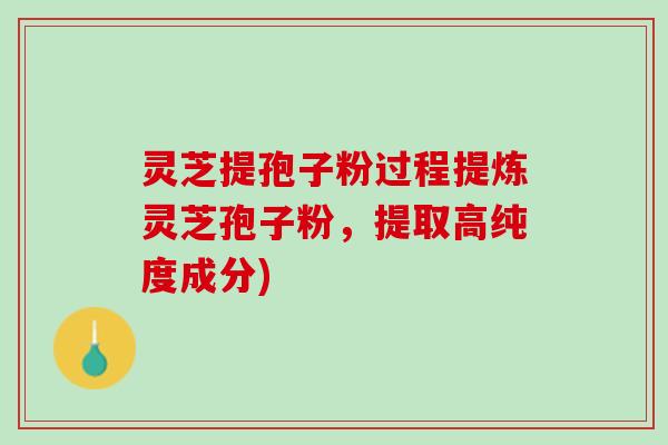 灵芝提孢子粉过程提炼灵芝孢子粉,提取高纯度成分) 灵芝提孢子粉过程提炼灵芝孢子粉,提取高纯度成分)