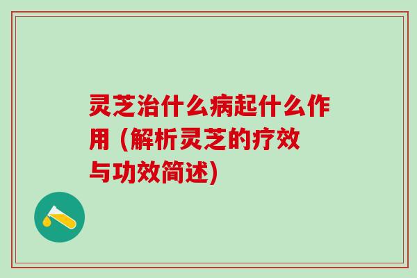 灵芝什么起什么作用 (解析灵芝的疗效与功效简述) 灵芝什么起什么作用 (解析灵芝的疗效与功效简述)
