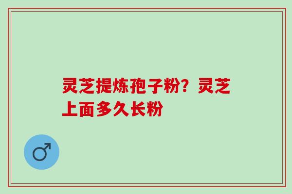灵芝提炼孢子粉？灵芝上面多久长粉