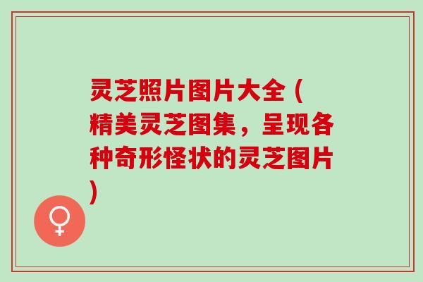 灵芝照片图片大全 (精美灵芝图集，呈现各种奇形怪状的灵芝图片)