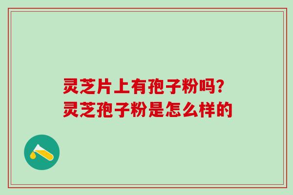灵芝片上有孢子粉吗？灵芝孢子粉是怎么样的