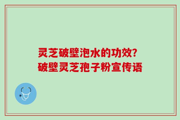 灵芝破壁泡水的功效？破壁灵芝孢子粉宣传语