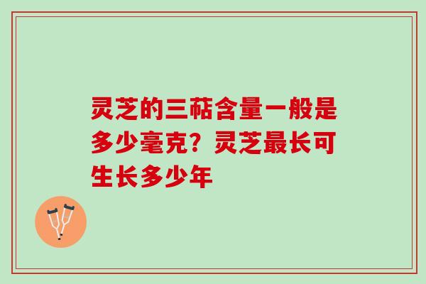 灵芝的三萜含量一般是多少毫克？灵芝最长可生长多少年