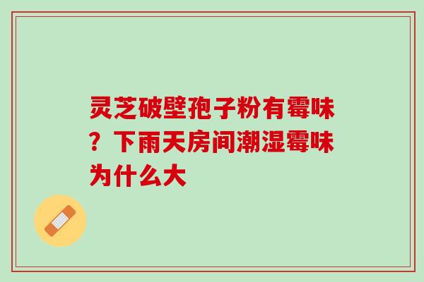 灵芝破壁孢子粉有霉味？下雨天房间潮湿霉味为什么大
