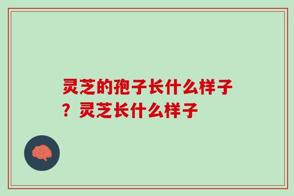 灵芝的孢子长什么样子？灵芝长什么样子