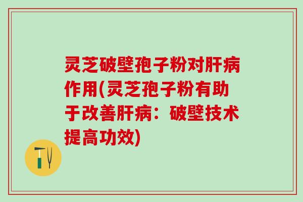 灵芝破壁孢子粉对肝病作用(灵芝孢子粉有助于改善肝病：破壁技术提高功效)