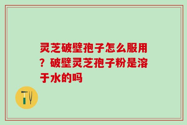 灵芝破壁孢子怎么服用？破壁灵芝孢子粉是溶于水的吗