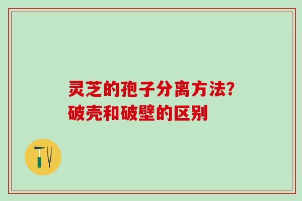 灵芝的孢子分离方法？破壳和破壁的区别
