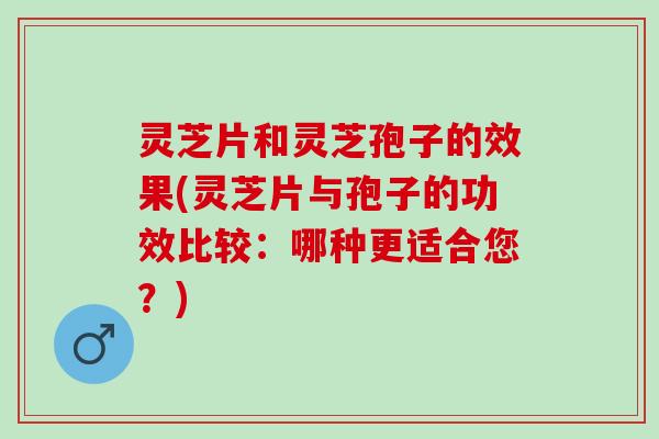 灵芝片和灵芝孢子的效果(灵芝片与孢子的功效比较：哪种更适合您？)