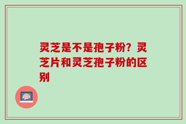 灵芝是不是孢子粉？灵芝片和灵芝孢子粉的区别