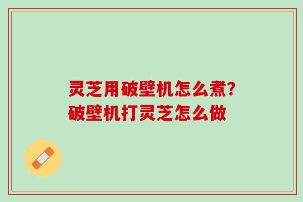 灵芝用破壁机怎么煮？破壁机打灵芝怎么做