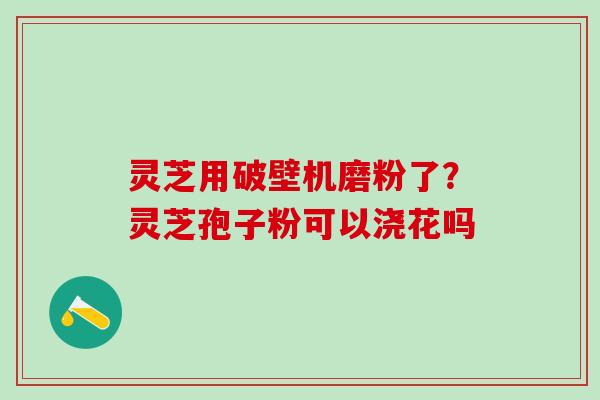 灵芝用破壁机磨粉了？灵芝孢子粉可以浇花吗