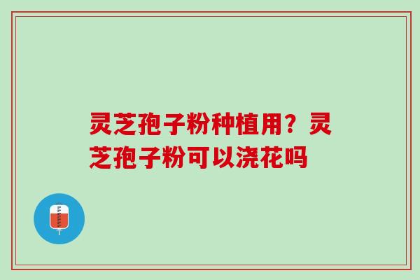 灵芝孢子粉种植用？灵芝孢子粉可以浇花吗