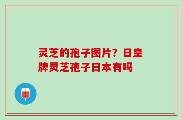 灵芝的孢子图片？日皇牌灵芝孢子日本有吗