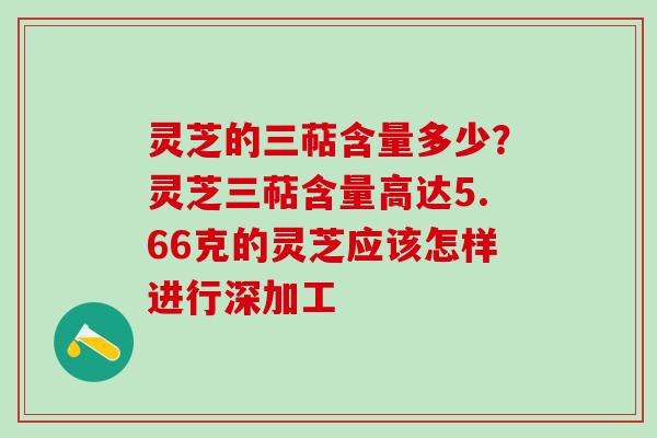 灵芝的三萜含量多少？灵芝三萜含量高达5.66克的灵芝应该怎样进行深加工