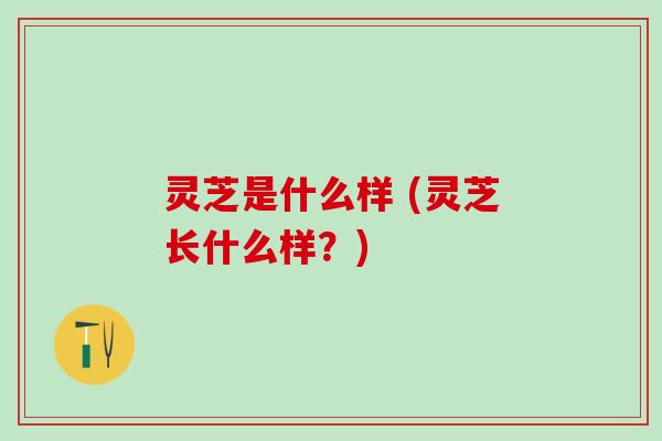 灵芝是什么样 (灵芝长什么样？)