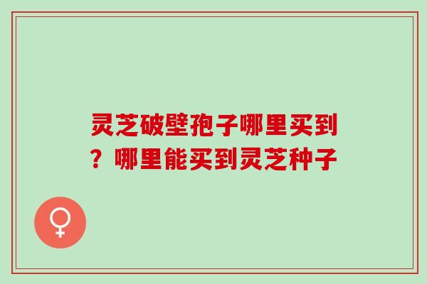 灵芝破壁孢子哪里买到?哪里能买到灵芝种子 灵芝破壁孢子哪里买到?哪里能买到灵芝种子