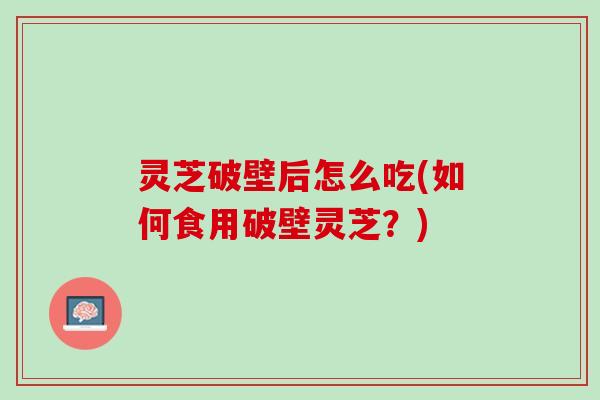 灵芝破壁后怎么吃(如何食用破壁灵芝？)