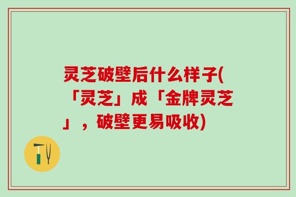 灵芝破壁后什么样子(「灵芝」成「金牌灵芝」，破壁更易吸收)