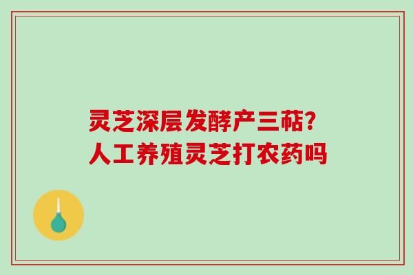 灵芝深层发酵产三萜?人工养殖灵芝打农药吗 灵芝深层发酵产三萜?人工养殖灵芝打农药吗