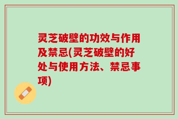 灵芝破壁的功效与作用及禁忌(灵芝破壁的好处与使用方法、禁忌事项)